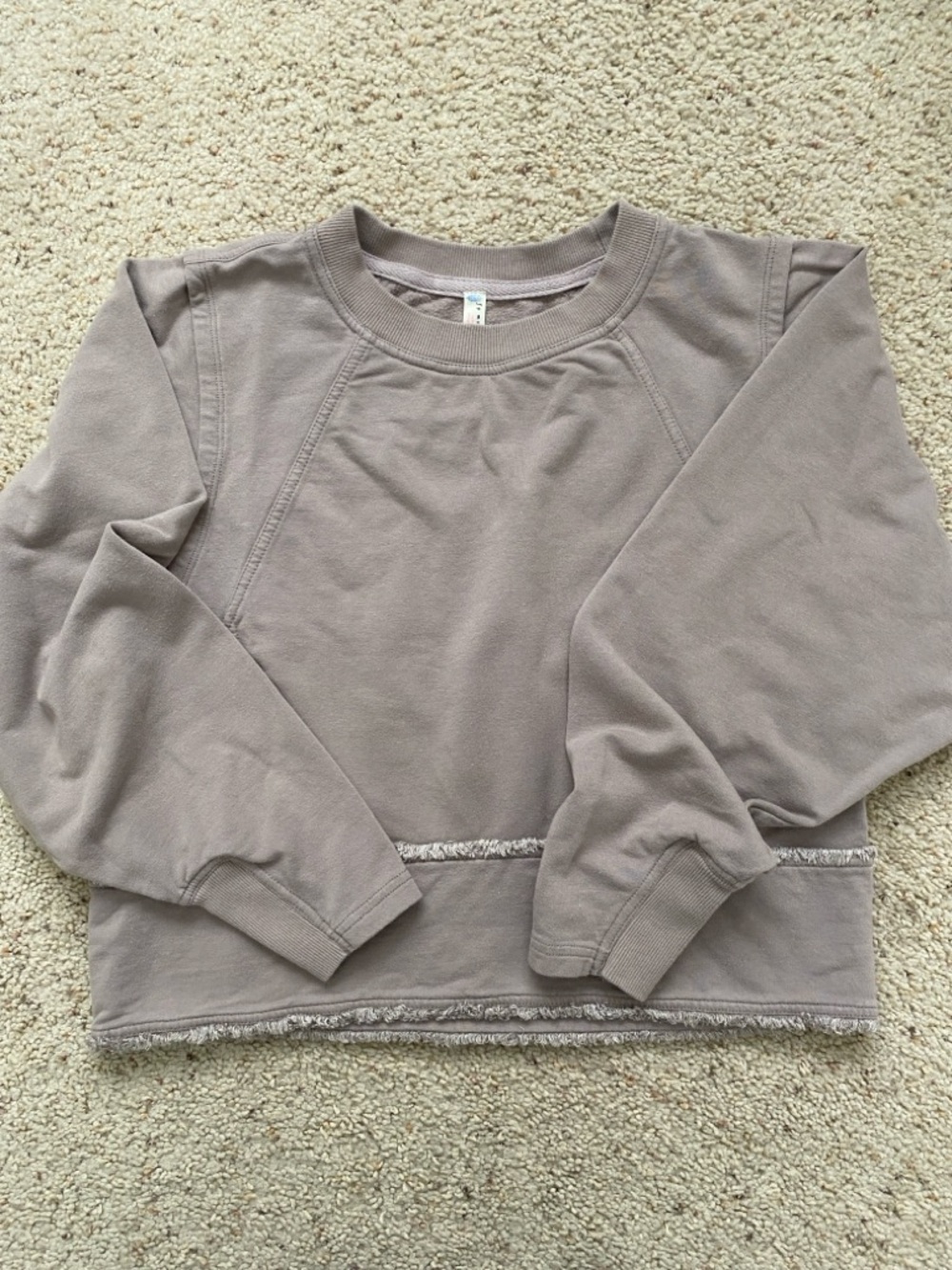 Free People Movement Where the Wind Blows Sweatshirt. Mauve. XS.